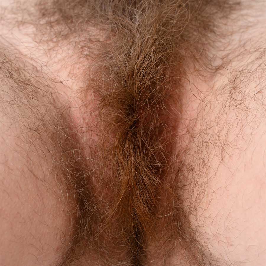 Vulva viewed from underneath. The model has light skin tone. Labia minora are not visible due to pubic hair. Auburn pubic hair covers the vulva and upper thighs.